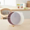 Plato Silicona Bebe Tapa Protectora Incluye Tenedor Sin Bpa